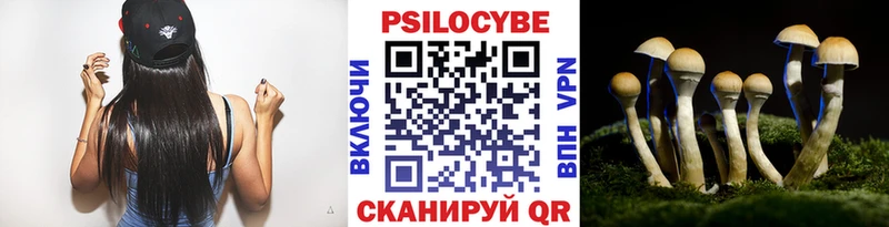 магазин    Котельнич  Галлюциногенные грибы Psilocybe 